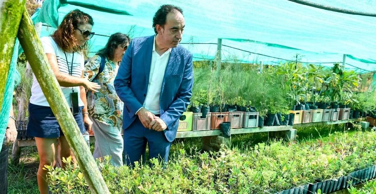 Viveiro Florestal de Monte Gordo vai ser requalificado