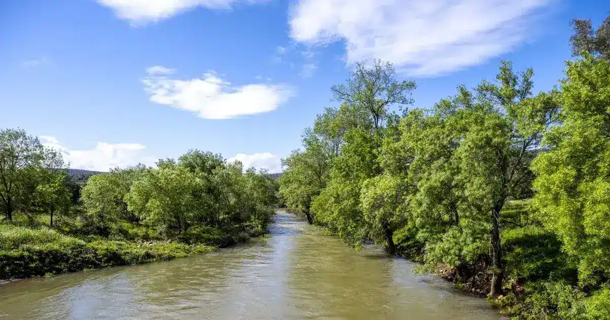 Mais baixas reservas em Espanha da Bacia do Guadiana