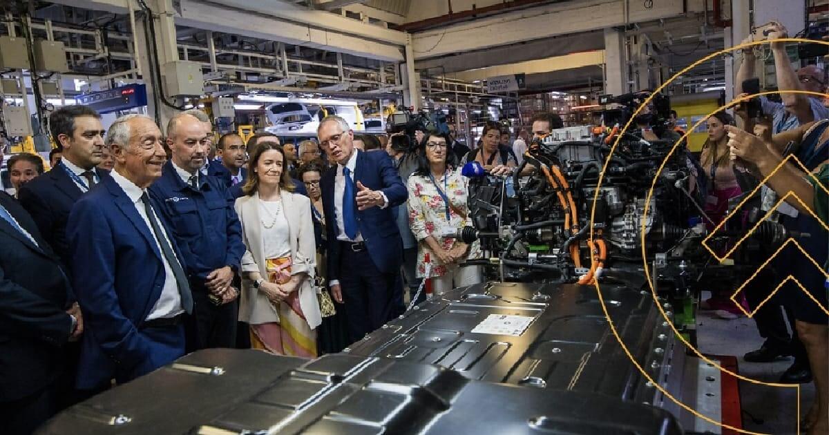 Abertas candidaturas no Algarve