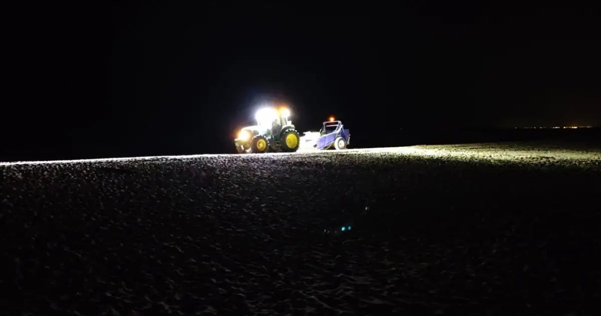 Algas limpas no concelho de Vila Real de Santo António