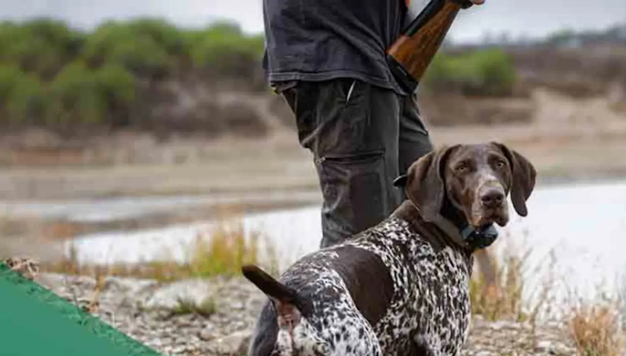 Domingo é Dia do Caçador em Mértola