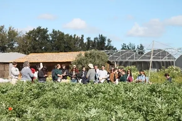 Revitalgarve promove visita a Explorações Agrícolas