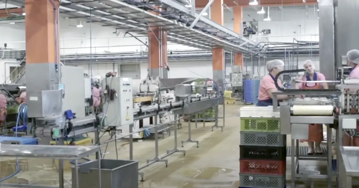 Edifícios devolutos problemas da Fábrica Ramirez