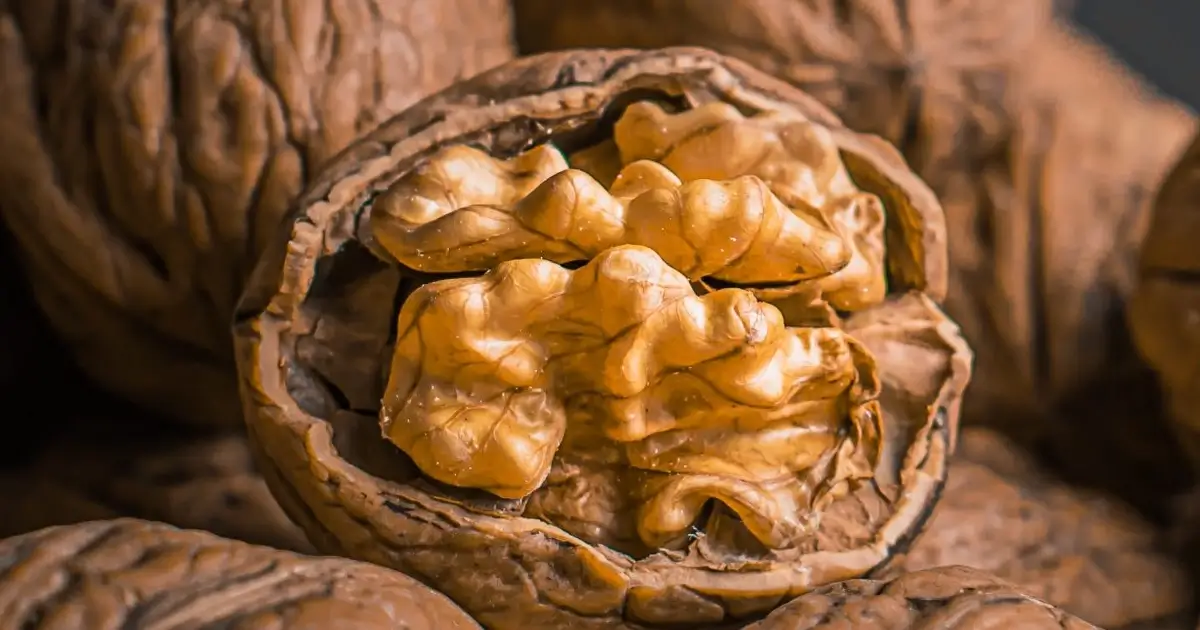 As nozes das Aldeias do Xisto