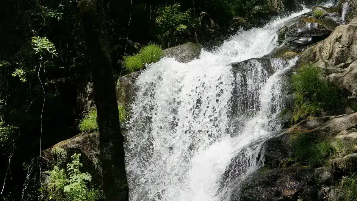 Consórcio quer gerir de água no Algarve