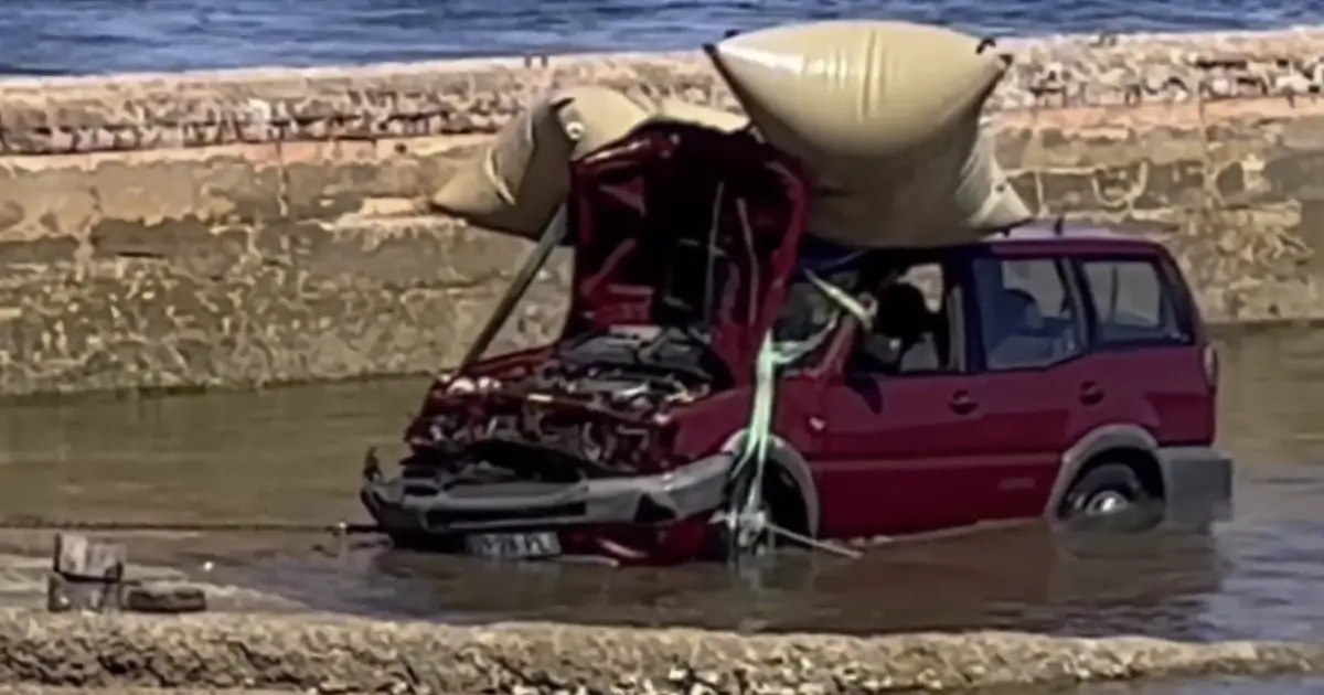 Atualização sobre o Caso de Carla Leal