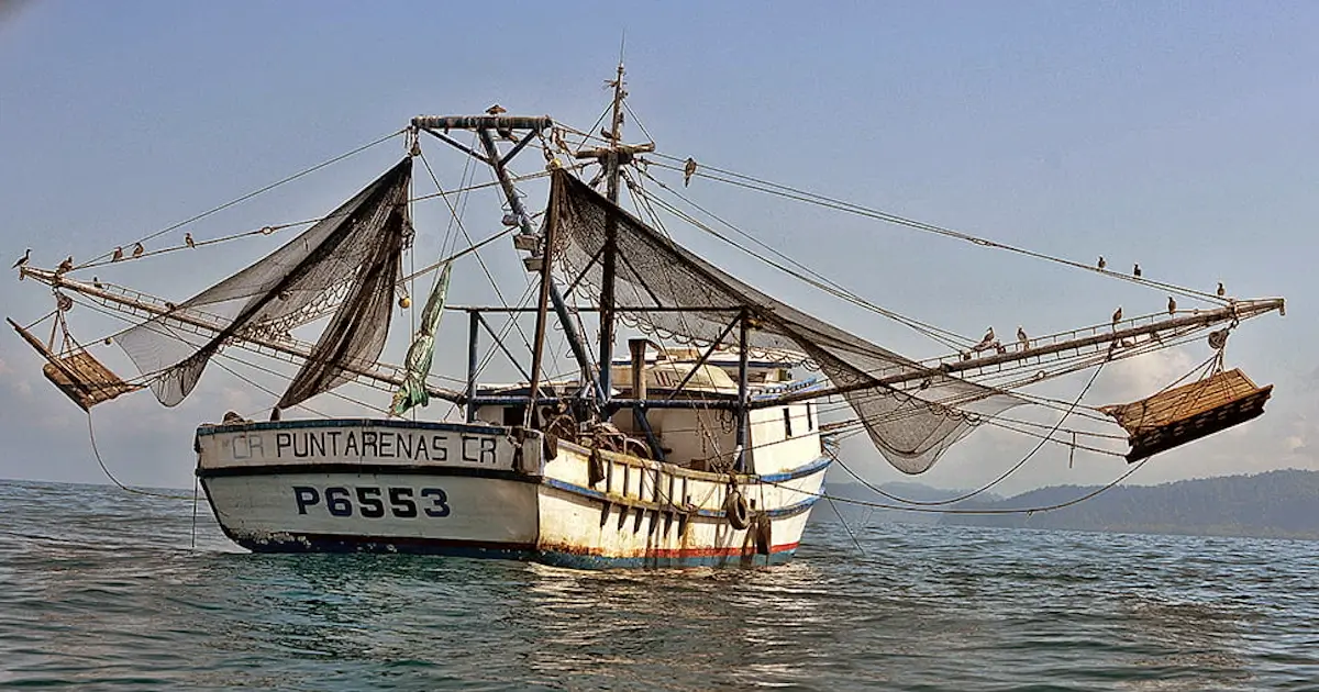 UE propõe hoje redução na pesca de arrasto no Mediterrâneo