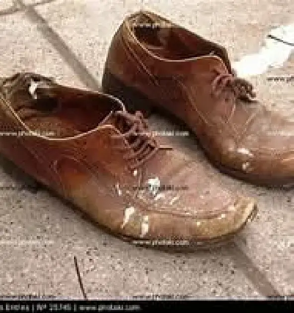 Crónicas avulsas – Acerca de Velharias, de Predadores e de Relativismo