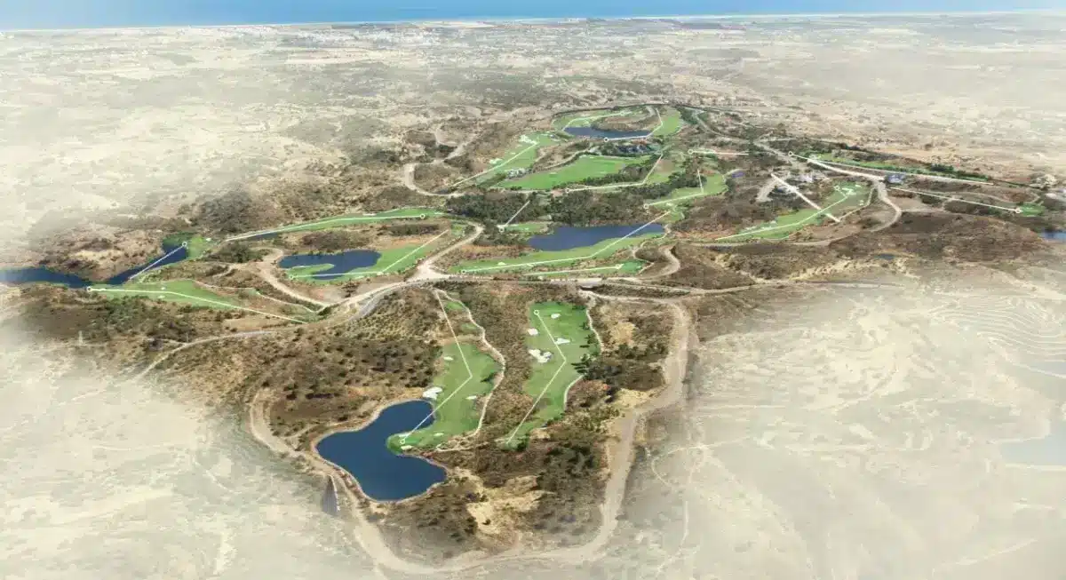 Arrow autorizada a comprar  Monterrey