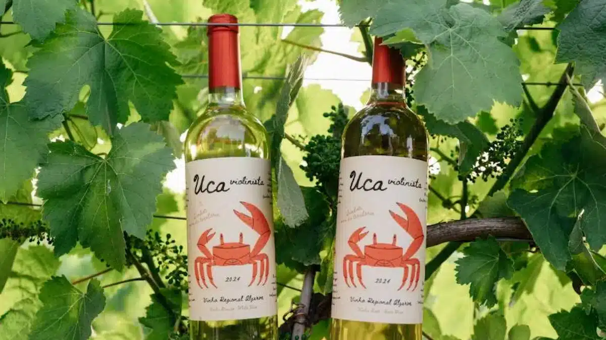 Vinho “UCA Violinista” celebra a Ria de Alvor e viticultura sustentável no Algarve