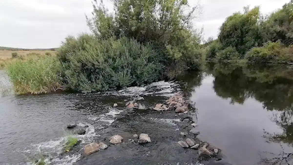 Desporto aquático em Serpa