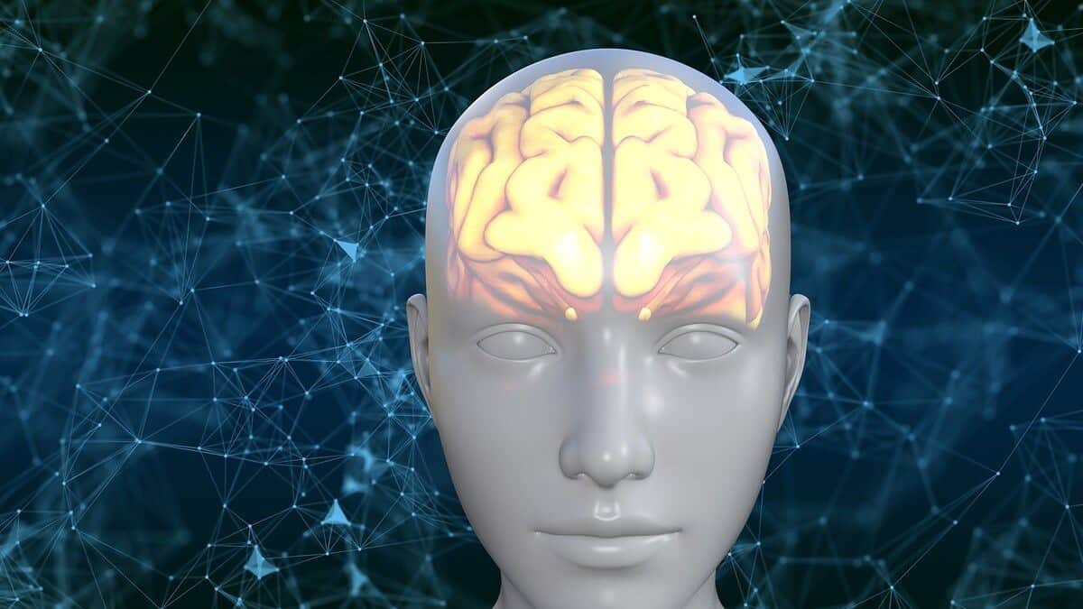 Neurologista alerta para a Importância da Saúde Cerebral