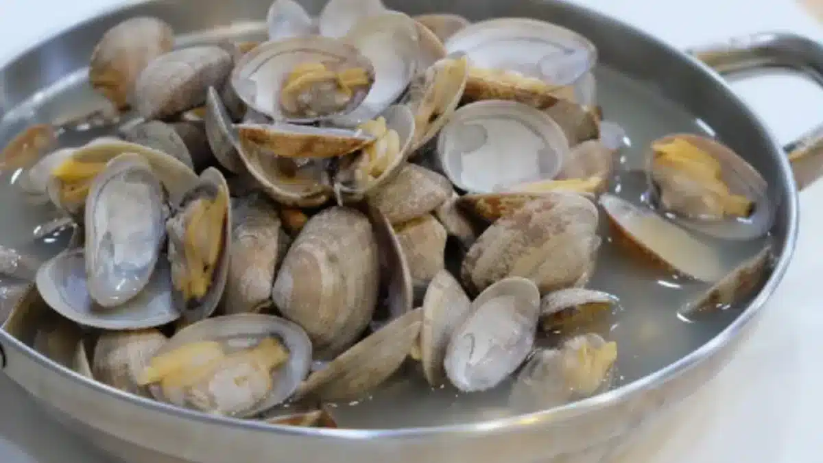 Amêijoa de lama contaminada no Guadiana e em Guadalquivir