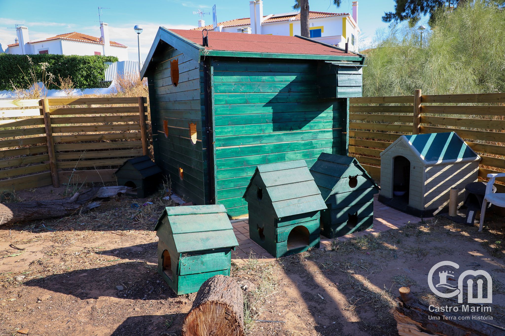 Castro Marim reforça Investimento no bem-estar animal