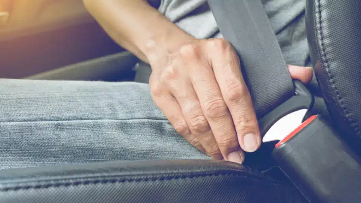 Campanha “Cinto-me Vivo” Arranca para Sensibilizar para a Segurança Rodoviária