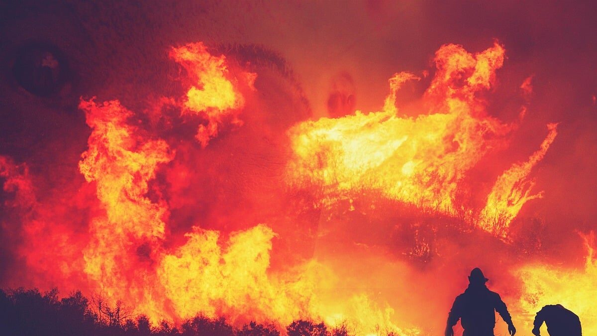 Fogo deflagrado em Aljezur está dominado mas não extinto