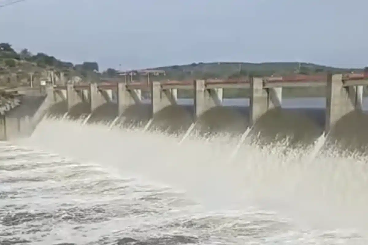 Pedrógão Descarrega