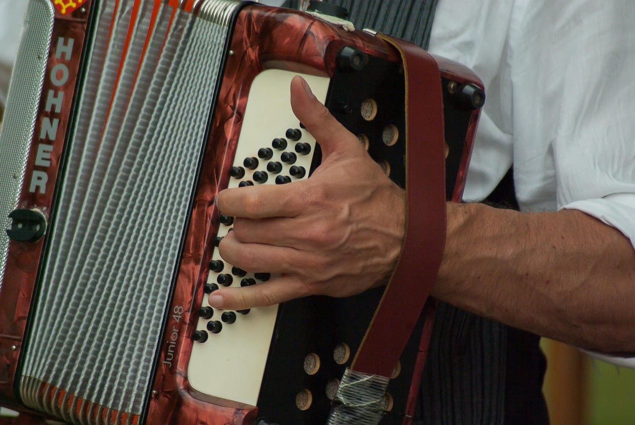 musician, accordion, music, artist, accordion, accordion, accordion, accordion, accordion-2370079.jpg