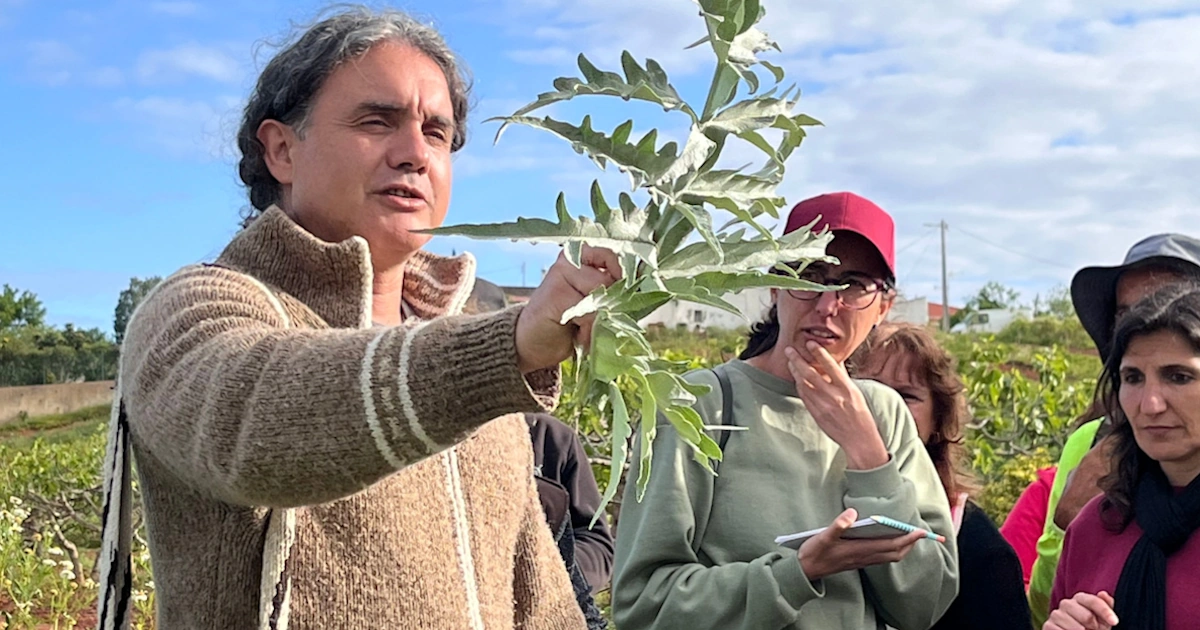 Passos Contados CIIPC