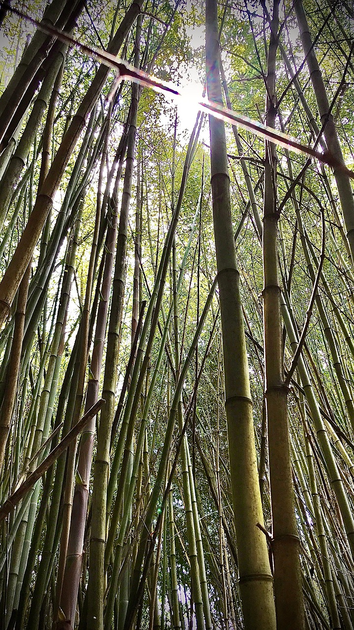 Proprietários Rurais com Prazos Apertados