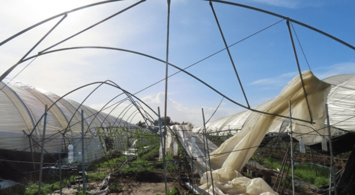 Agricultores algarvios podem candidatar-se a apoios até 90 mil euros