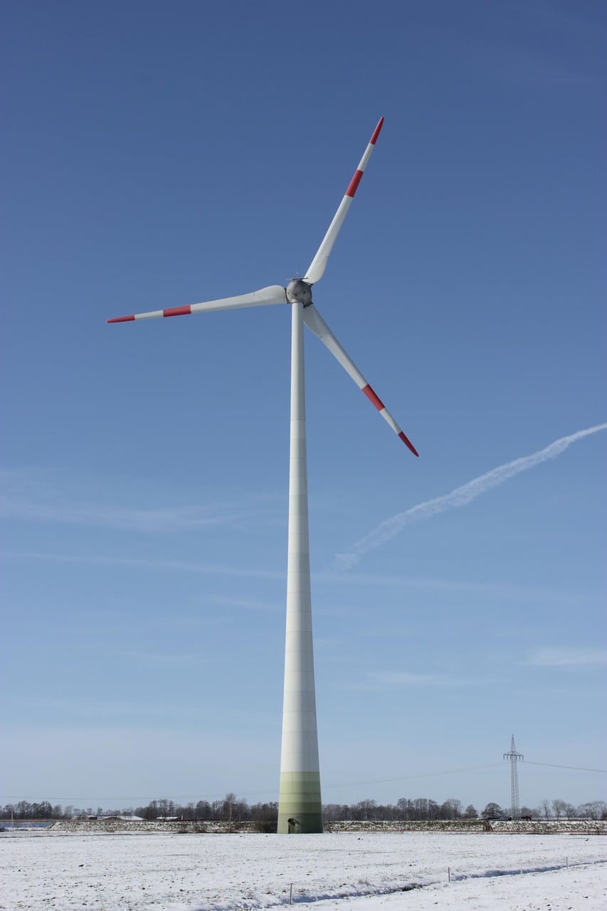 O Braço de Ferro entre a Energia “Verde” e a Integridade Ecológica