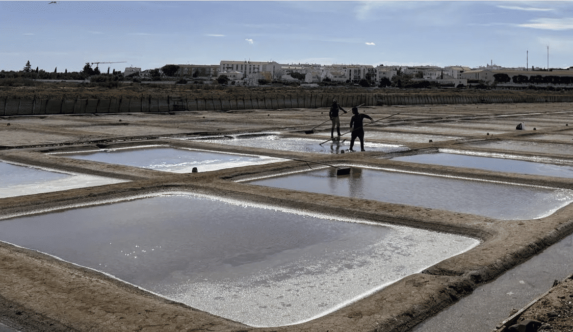 Museu Municipal de Tavira convida à descoberta das Salinas de Tavira